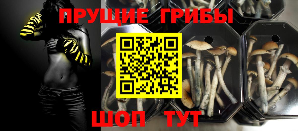 Псилоцибиновые грибы ЛСД Майский